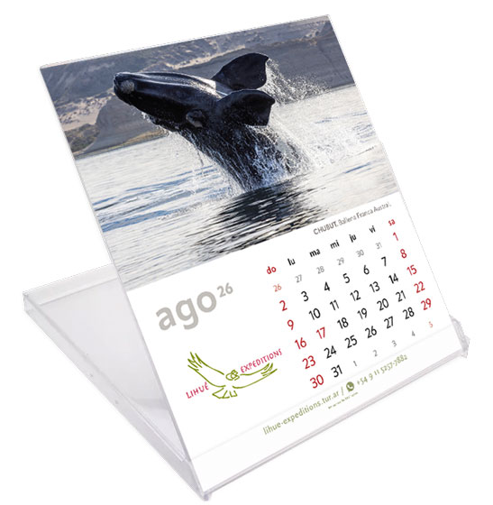 Caja-CD-Publi-agosto