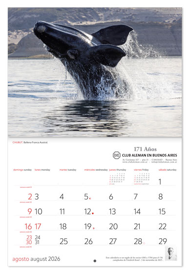 Calendario corporativo 2026 personalizado con logo de empresa