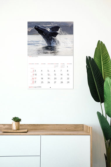Armado- Calendario pared 33x48 cm con fotografías inspiradoras de Argentina